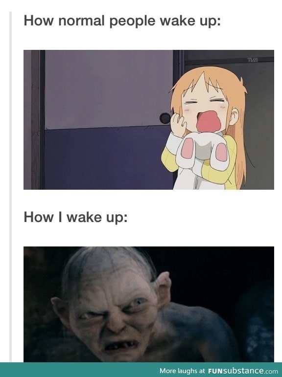 My precious sleep