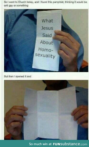 Homos*xuals are gay