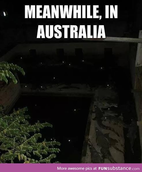 Wait.... THOSE AREN'T STARS!