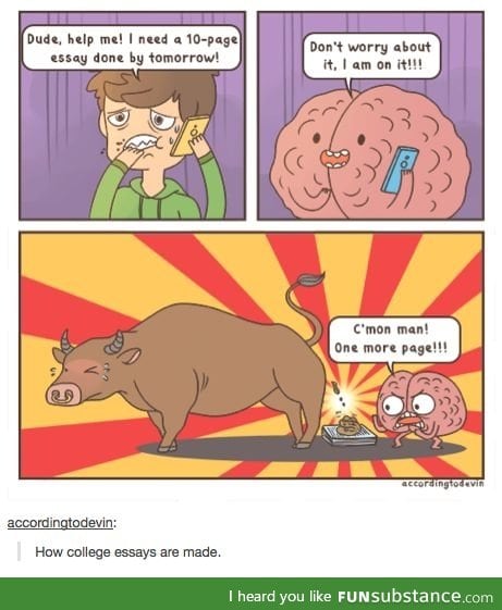 My brain doing last minute essays