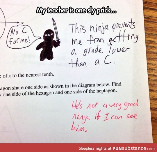 The test ninja