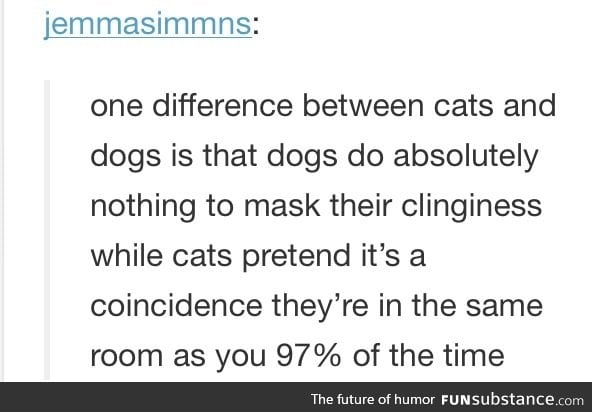 Cats vs. dogs