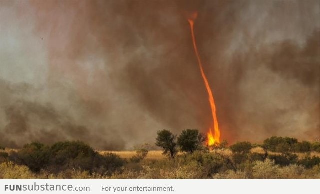 Fire Tornado?!