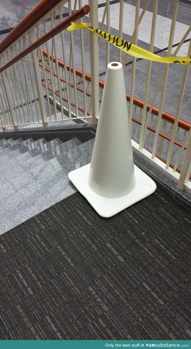 A rare albino cone found in the wild