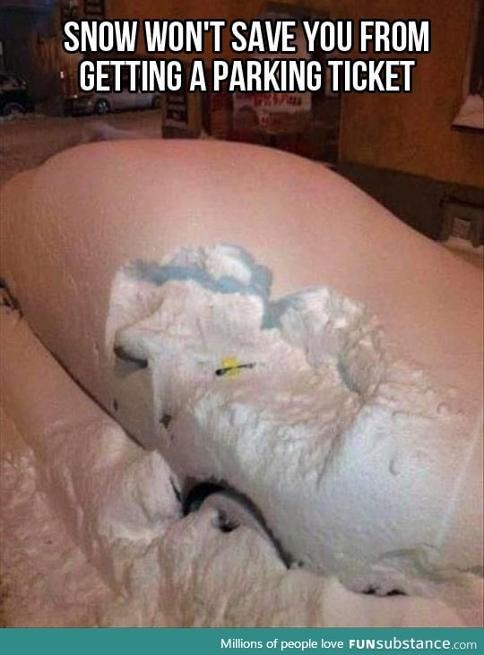 Meanwhile in Minnesota