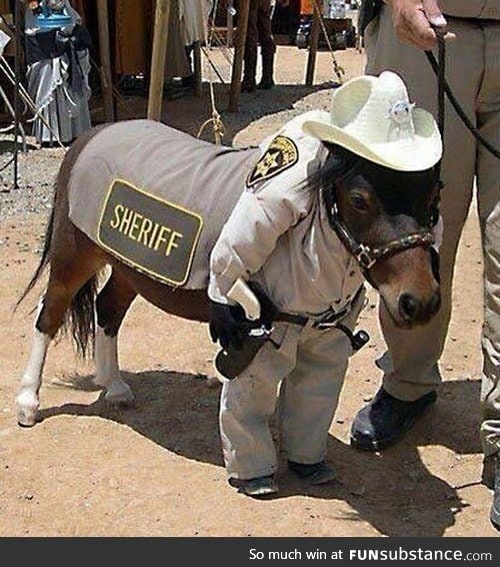 Sheriff cutbacks