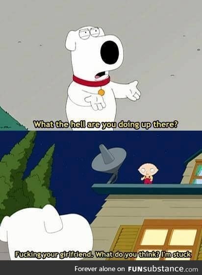 Getting tired of your sh*t, Brian