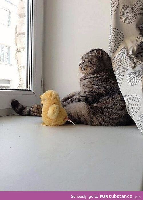 It's a big world out there ducky