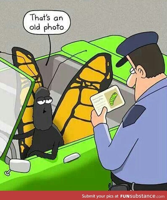 To be fair, he could fly away