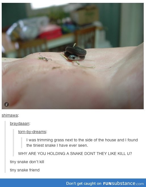 awwww lil baby snake :3