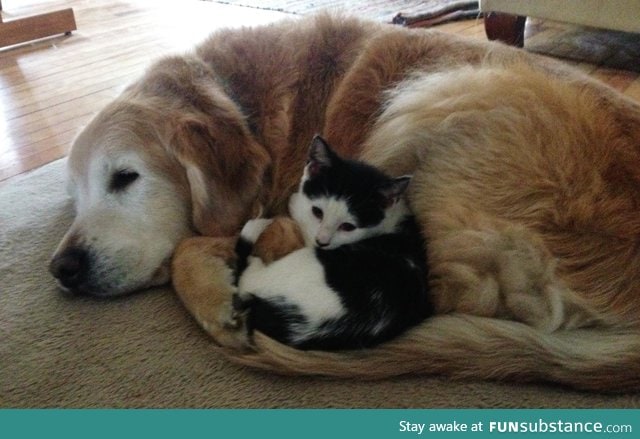 Friendship knows no bounds