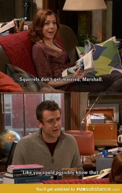Squirrels