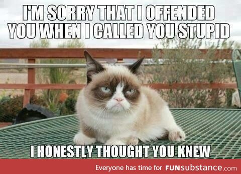 Grumpy Cat