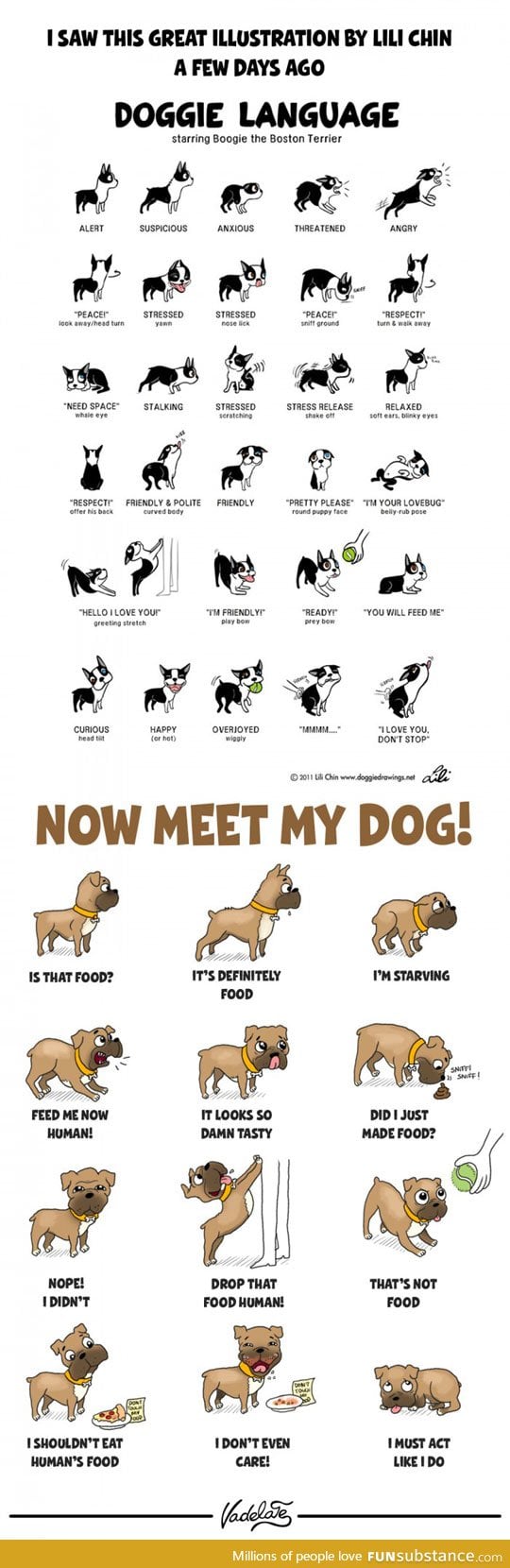Meet my dog