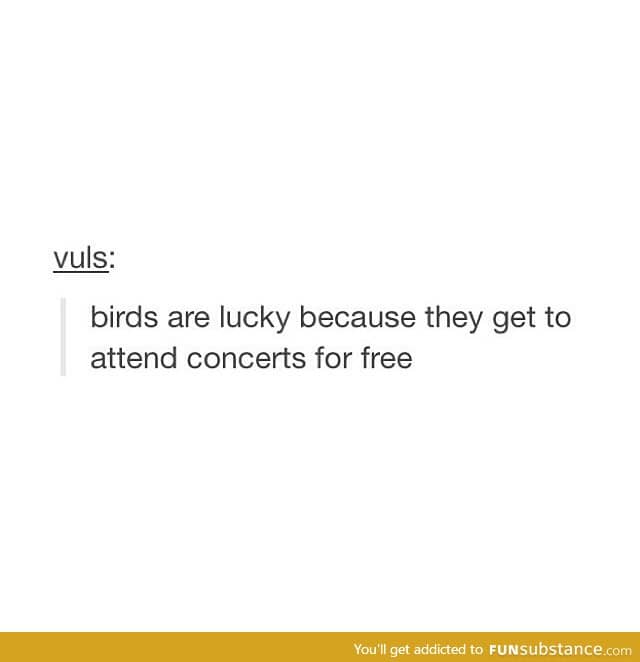 I WISH I Was A Bird