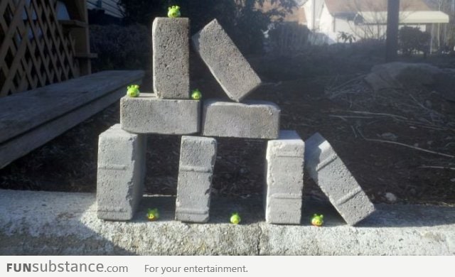 Angry Birds in real life