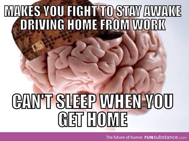 Seriously, wtf brain!