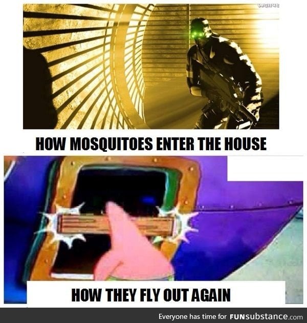 Scumbag mosquito