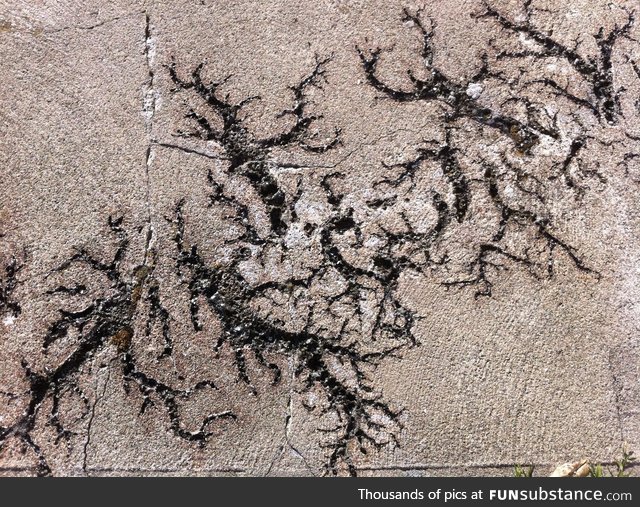 Sidewalk Struck by Lightning
