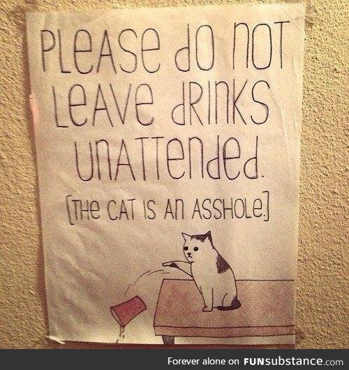 Careful...Dude's cat is a bit of an arse