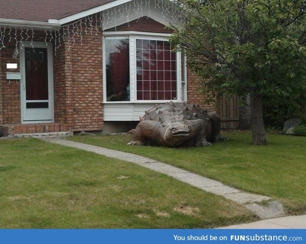 So my neighbour got a new front lawn decoration