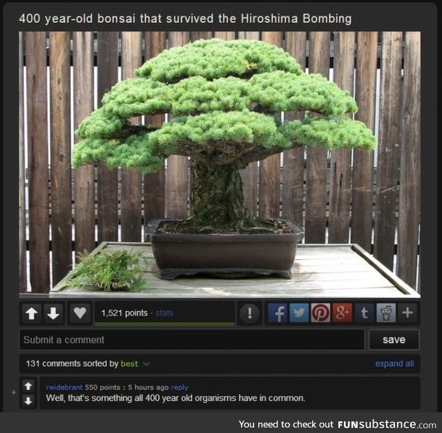 That's a quite bold assumption