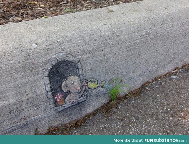 Curb appeal