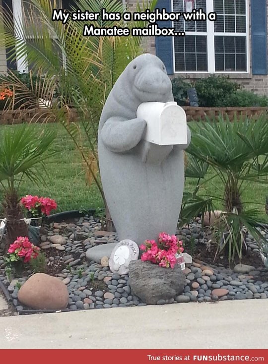 Manatee mailbox