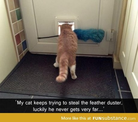 It's not just dogs who get stuck!