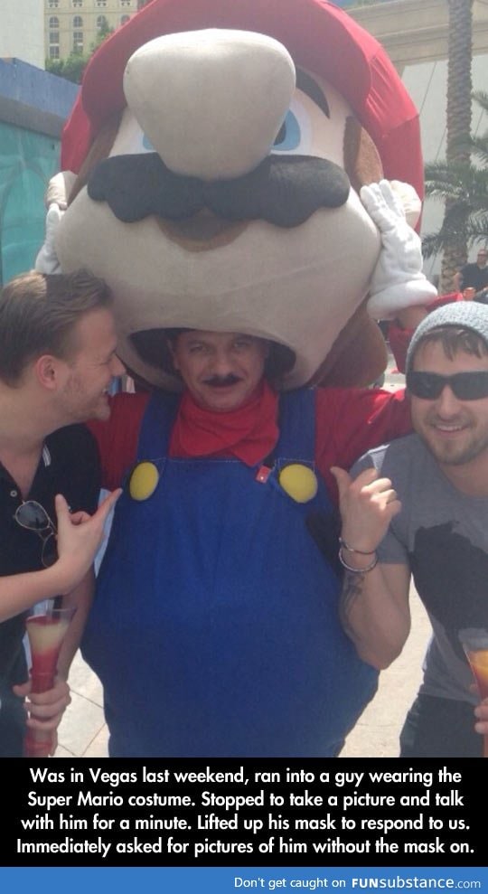 Mario Disguised as Mario