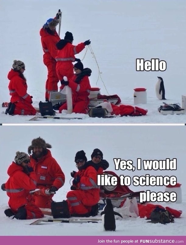 Science Penguin