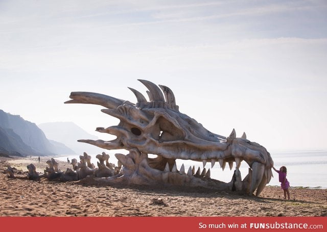 Beached dragon skull