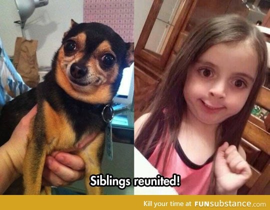 Incredible resemblance