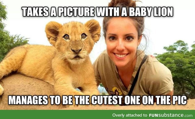 Cuter than the lion