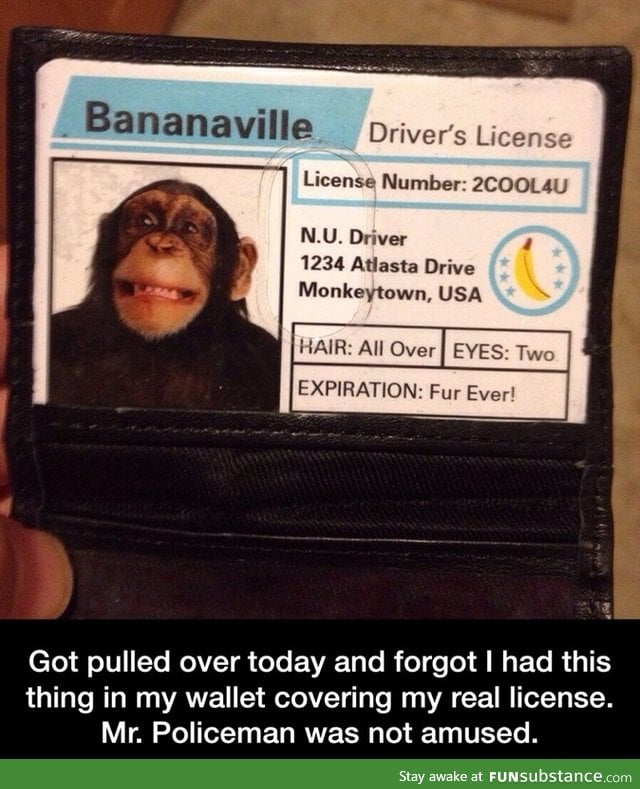 Drivers license