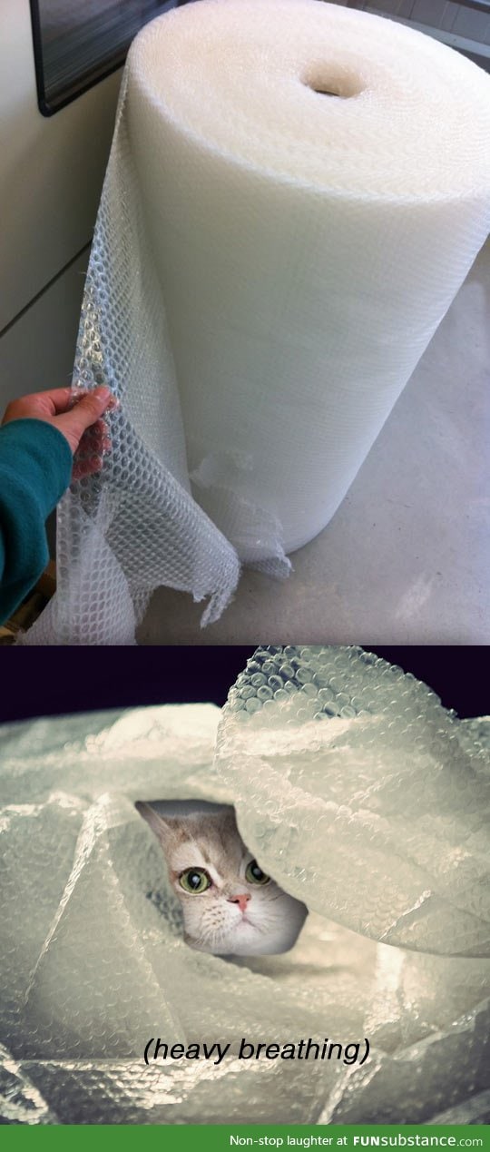 Bubble wrap heaven