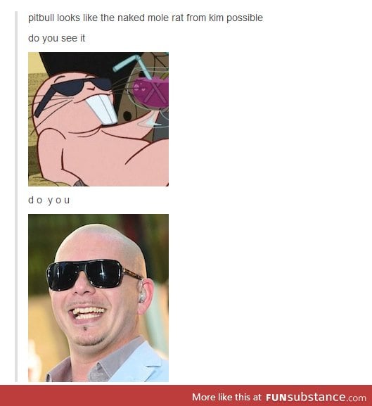 Pitbull possible