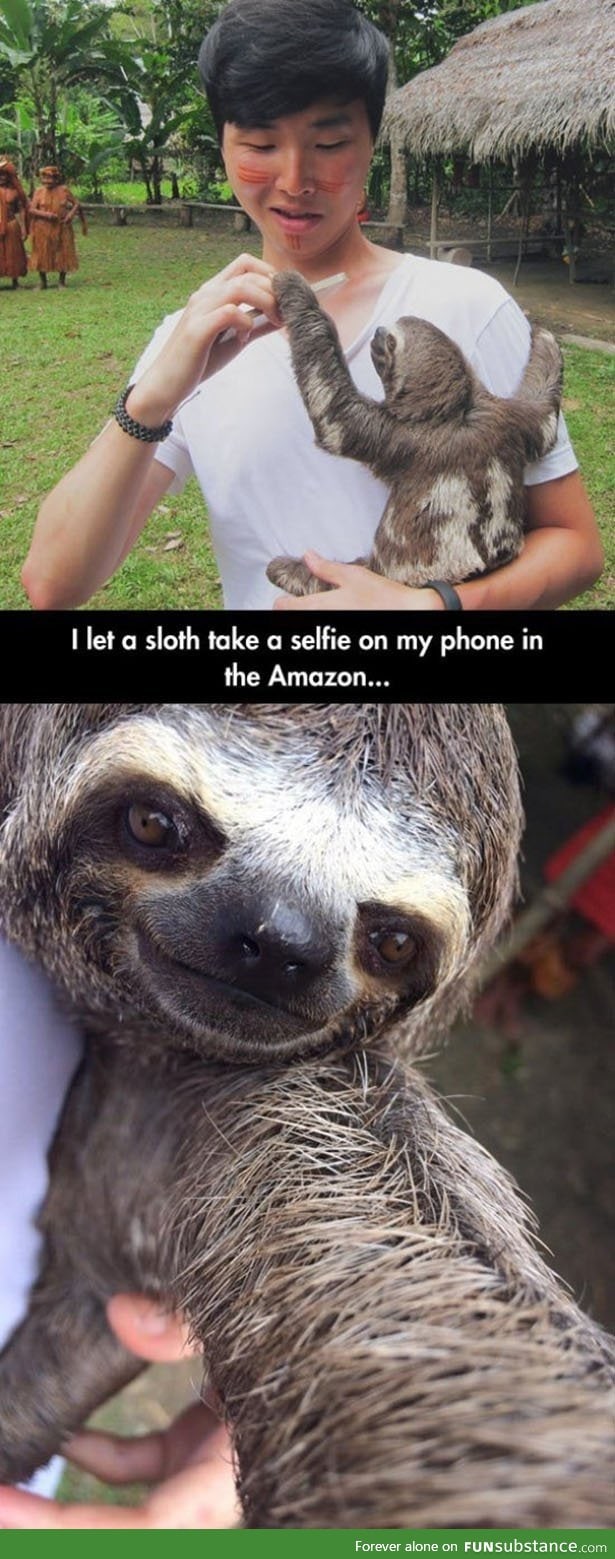 Sloth selfie