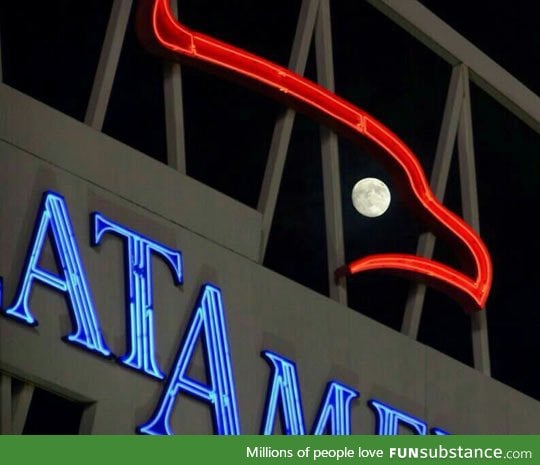 Eagle's moon eye