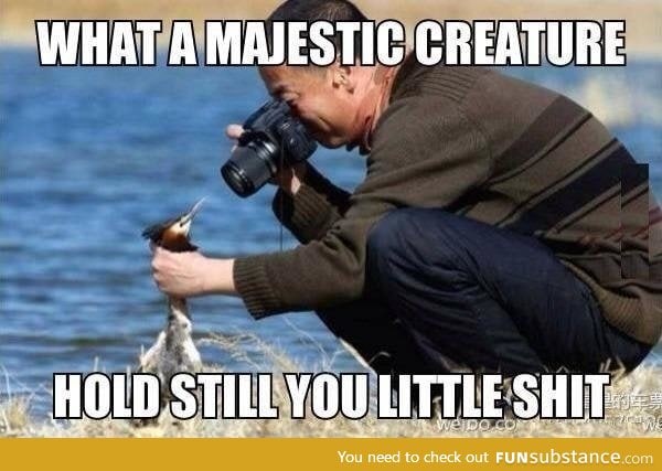 What a majestic creature