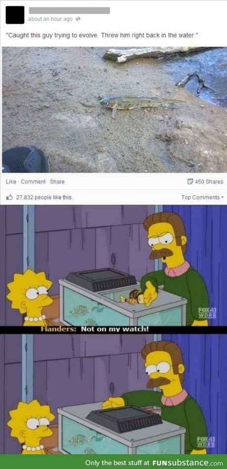 Creationists