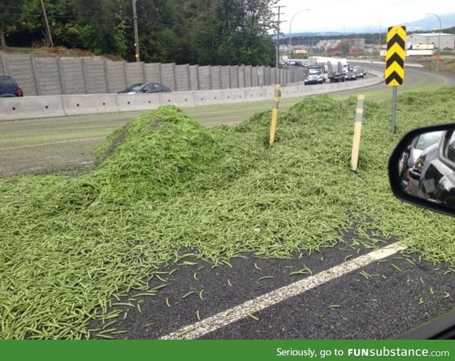 So this truck literally spilled the beans on the freeway