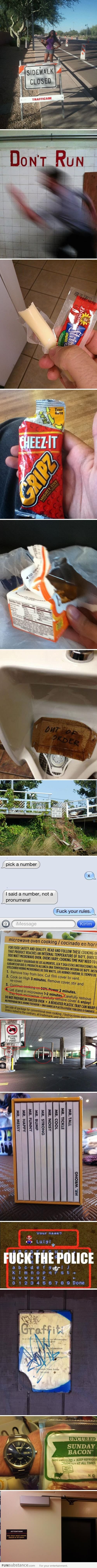 First World Anarchists