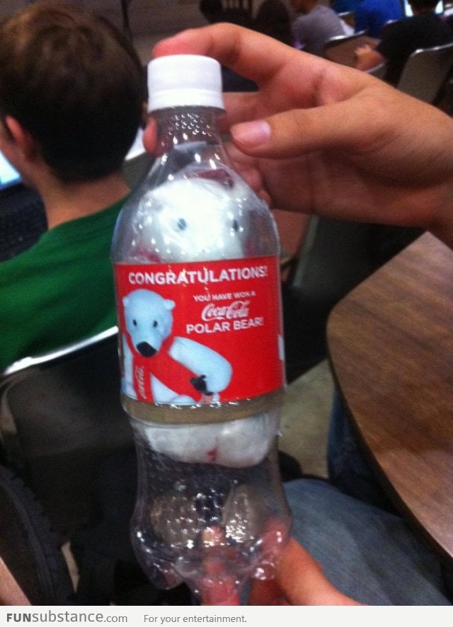 Bought a soda and a bear came out