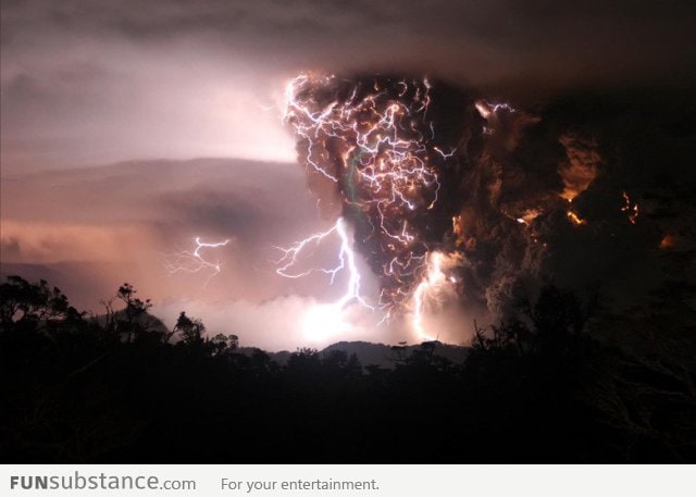 Damn Nature, You're Scary!