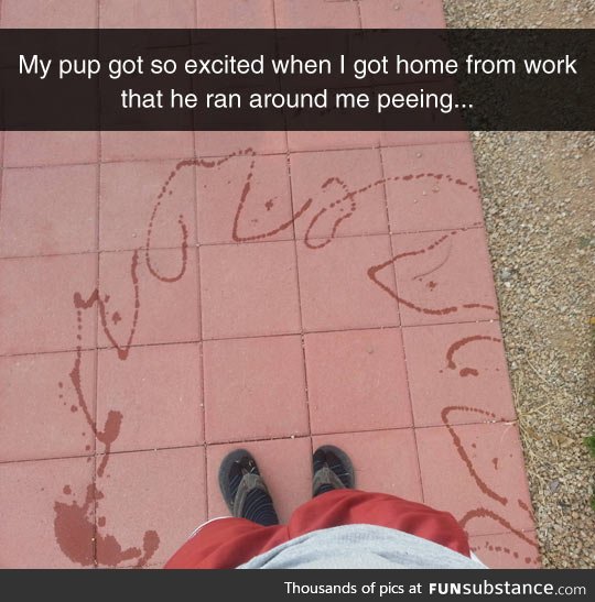 This puppy is an artist