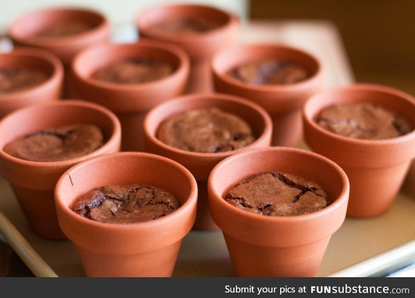 Pot brownies