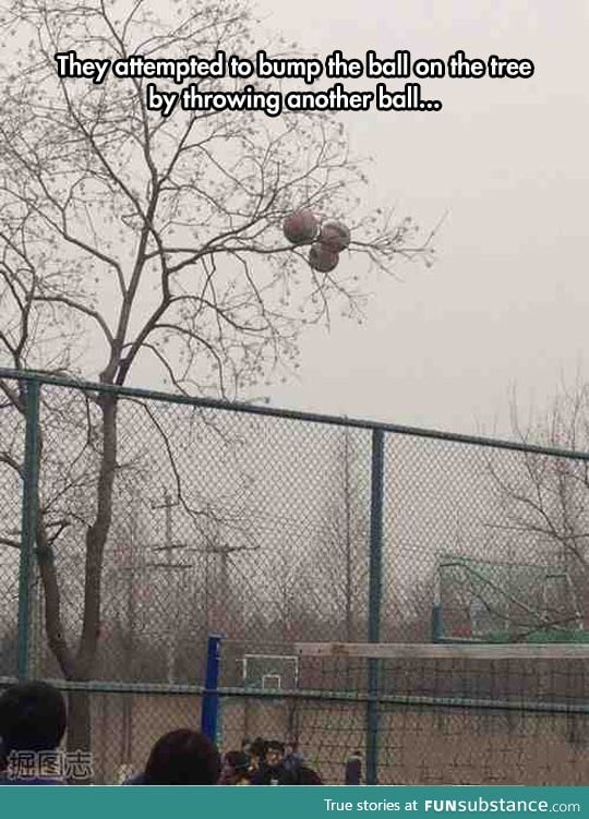 That tree is a hoarder