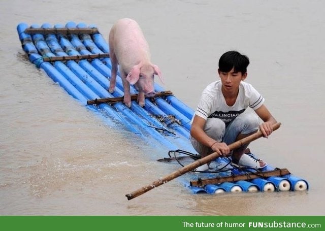 If Life of Pi had a low budget