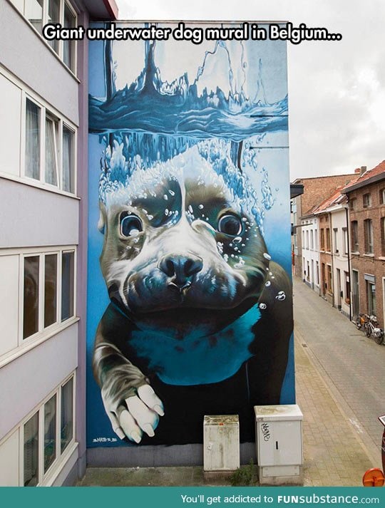 Amazing mural in belgium